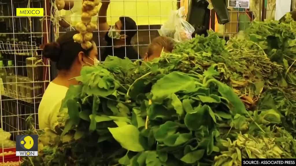 Mexicans opts for traditional medicine to fight virus