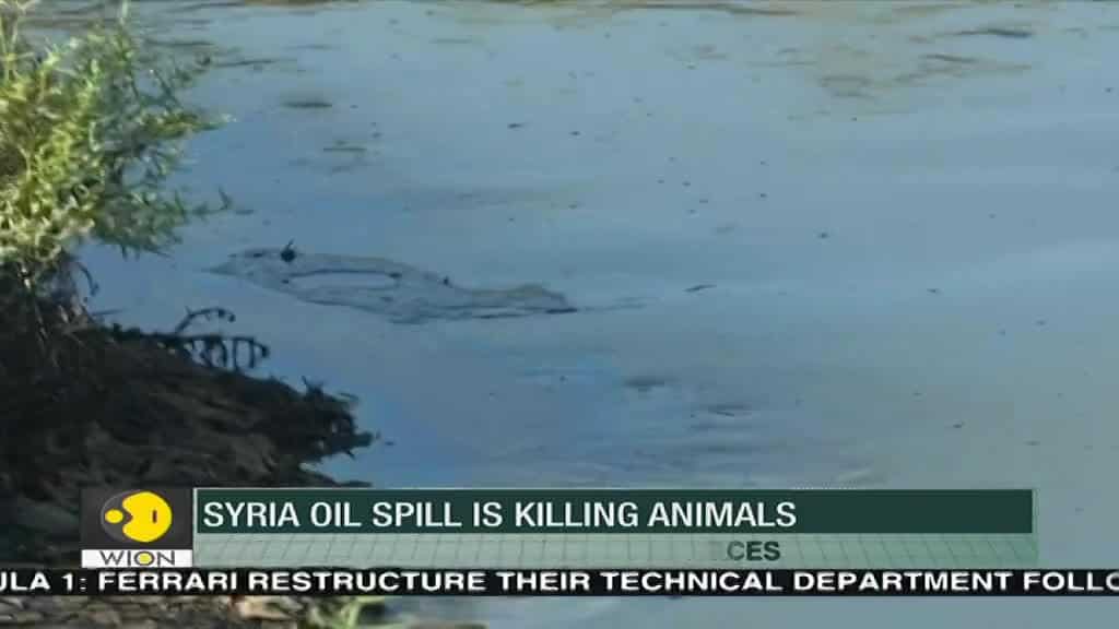 WION Fineprint: Syrian refineries raise severe health concerns