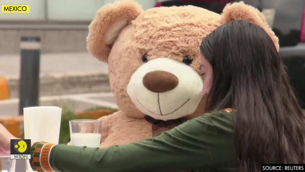Giant teddy bears keep customers apart at Mexico City cafe