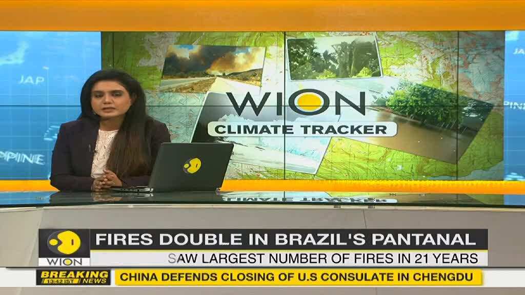 Number of fires increases in Brazil's Pantanal wetland in 21 years