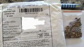 After US, Canada receives mysterious packages of seeds from China