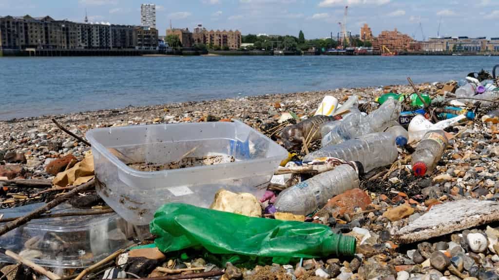 River Thames impacted by pollution again | World News