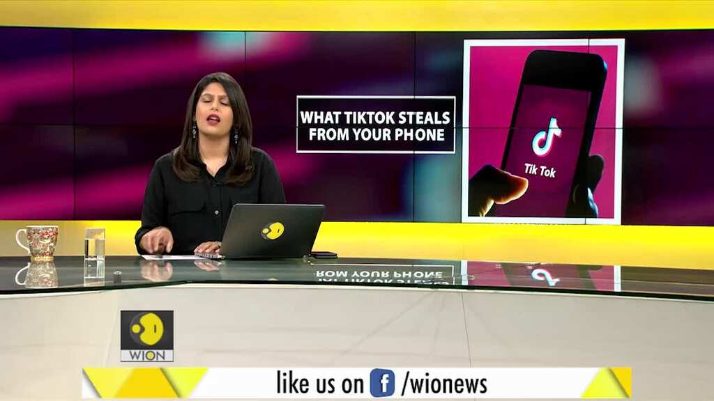 Gravitas: What TikTok can steal from your smartphone