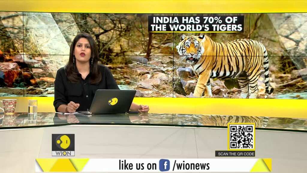 Gravitas: India's success story in Tiger conservation