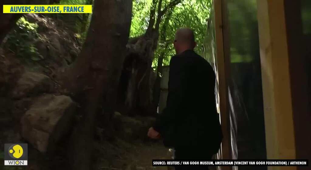 Tree roots tell story of Van Gogh's final hours after lockdown discovery