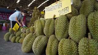 Why stinky durian fruit is a big hit in China