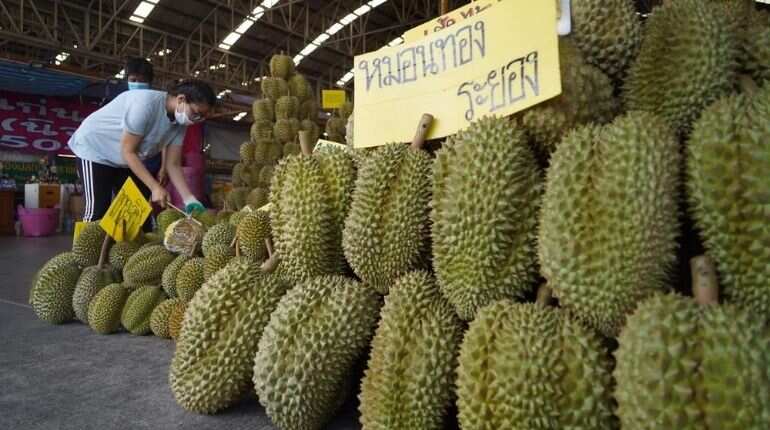 Why stinky durian fruit is a big hit in China