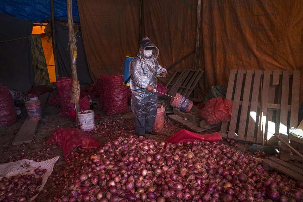 11 million newly poor to lose access to food: Latin American economies to contract by 5.3%
