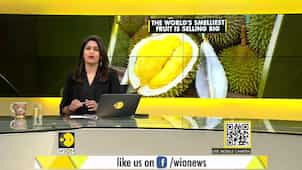 Gravitas: Durian | World's stinkiest fruit goes online
