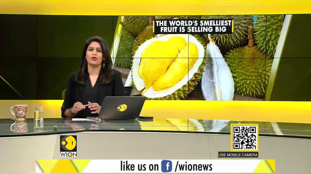 Gravitas: Durian | World's stinkiest fruit goes online