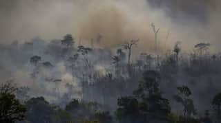 Wildfires cost Europe 4.1 billion euros as temperatures hit record high: Report
