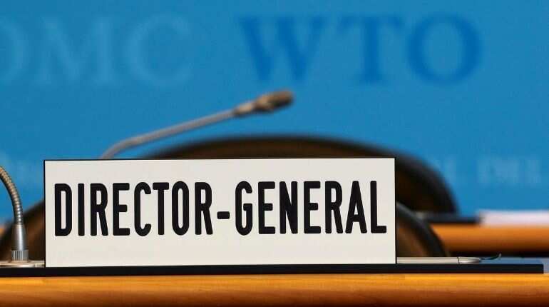 How the next WTO chief will be chosen and the task ahead How the next WTO chief will be chosen and the task ahead