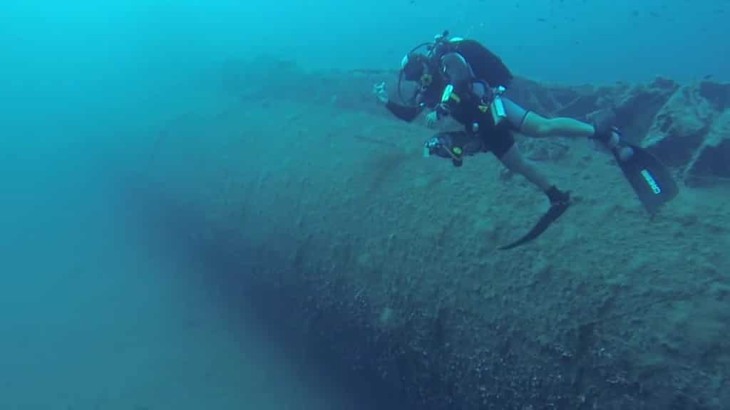 Divers clean up HMS Perseus to protect marine life | 500 kg of Ghost nets | World News