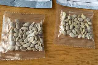 International body warns Indian government against planting unsolicited seeds