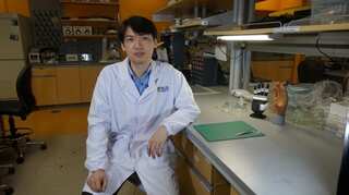 Star Wars inspires scientists to create sense-capable artificial skin