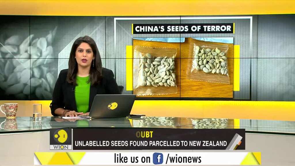 Gravitas: China's seeds of terror reach more countries