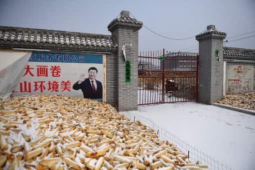 Corn shortage in China? Photo ban on granaries fuels speculation