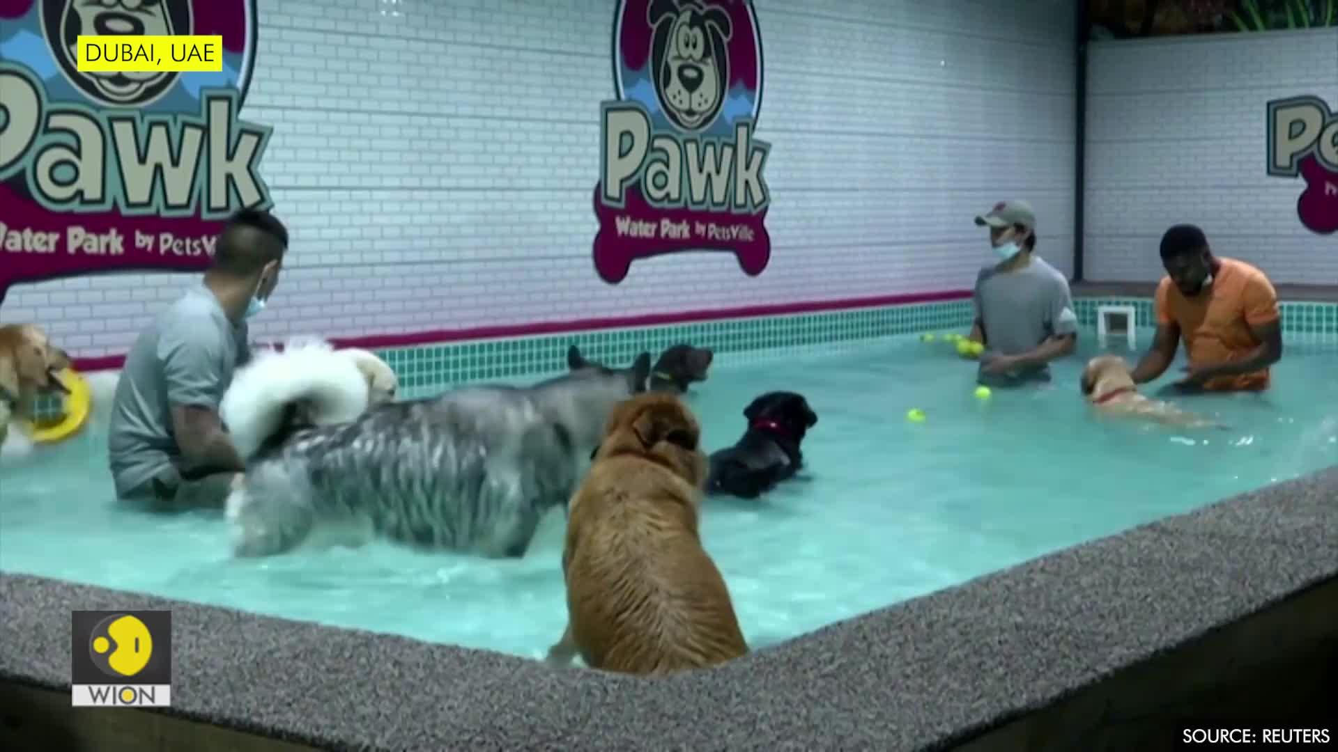 WionNews Video