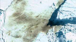 Climate crisis: Satellites spots throng of Emperor penguins from space