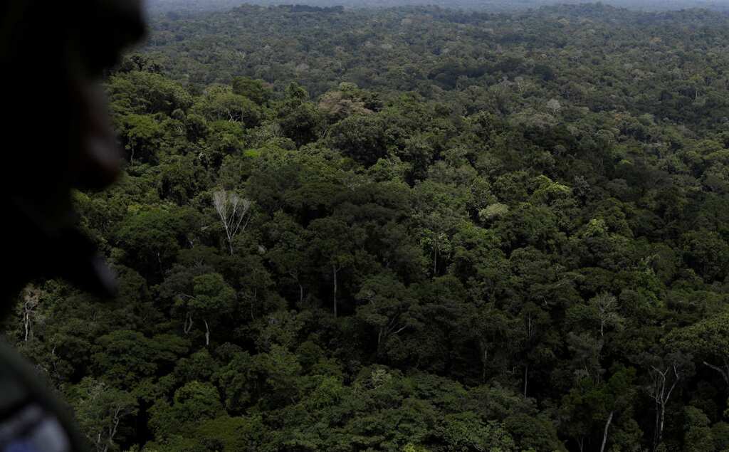 Deforestation in Brazil's Amazon skyrockets to 12-year high under Bolsonaro