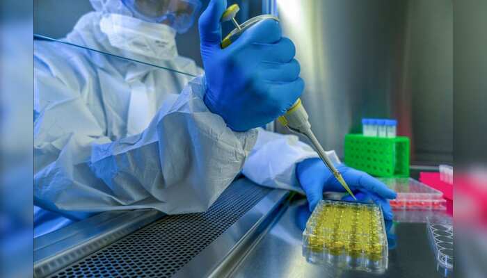 Shares of Chinese vaccine maker surge 80% since June