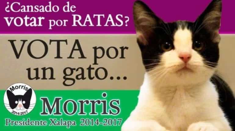 Morris