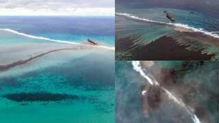 Mauritius struggles to preserve ecosystem amid catastrophic oil spill