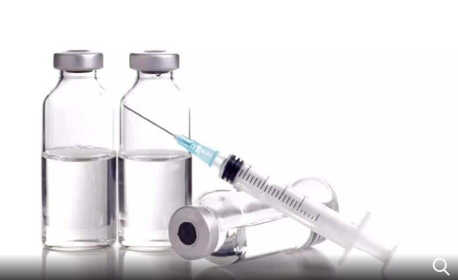 Who all are the major COVID-19 vaccine global and domestic contenders | World News