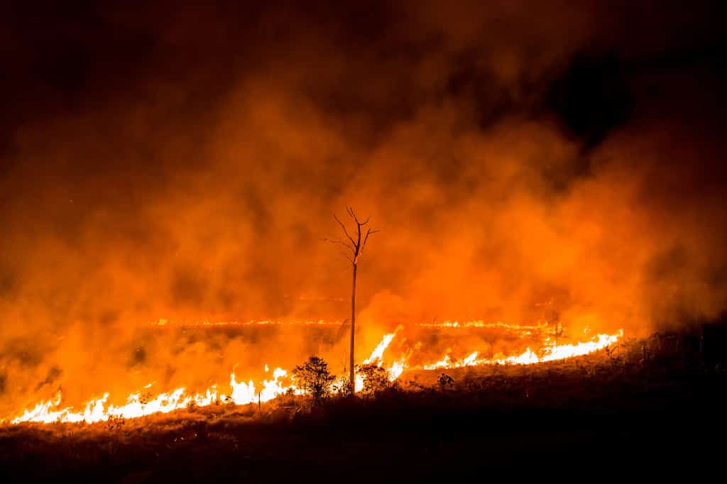 Brazil President Jair Bolsonaro calls Amazon fires a lie