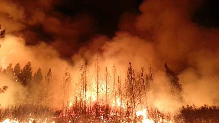 California bush fire scorches over 10,000 acres of land | World News