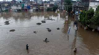 Pakistan floods cost at least $10 billion: Planning minister