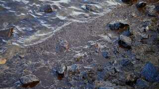Mauritius tourism, reeling from coronavirus, now hit by oil spill
