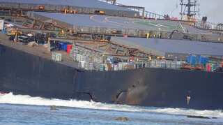 'Massive poisonous shock': Scientists fear lasting impact from Mauritius oil spill