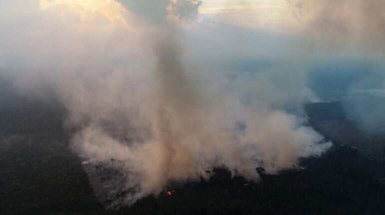 Brazil fires threaten world's largest wetland