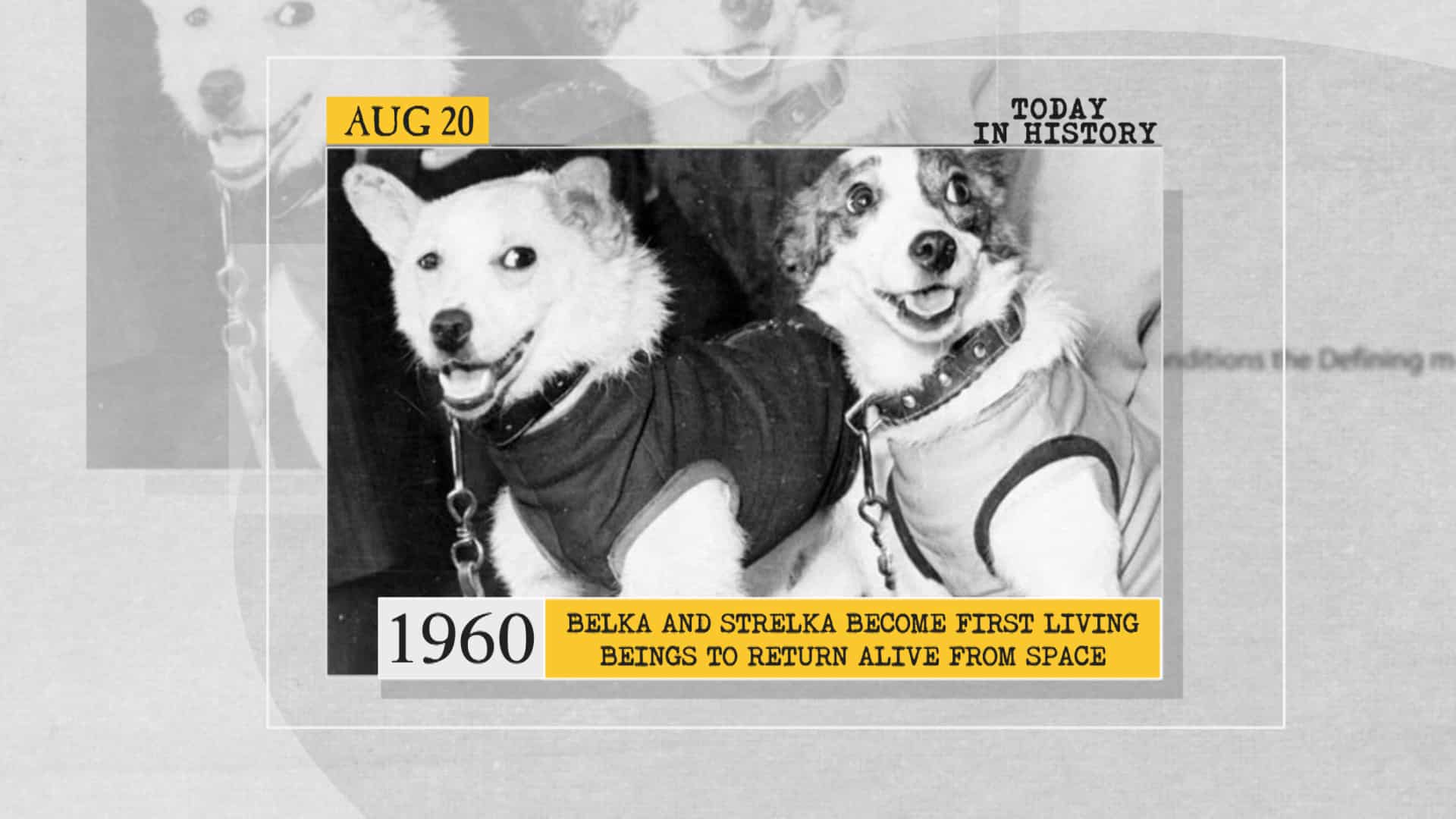 1960