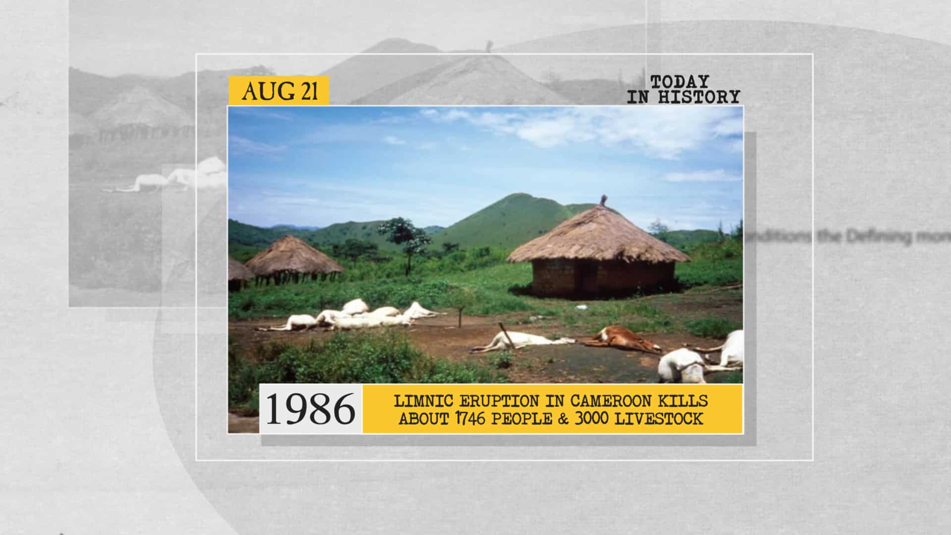 1986