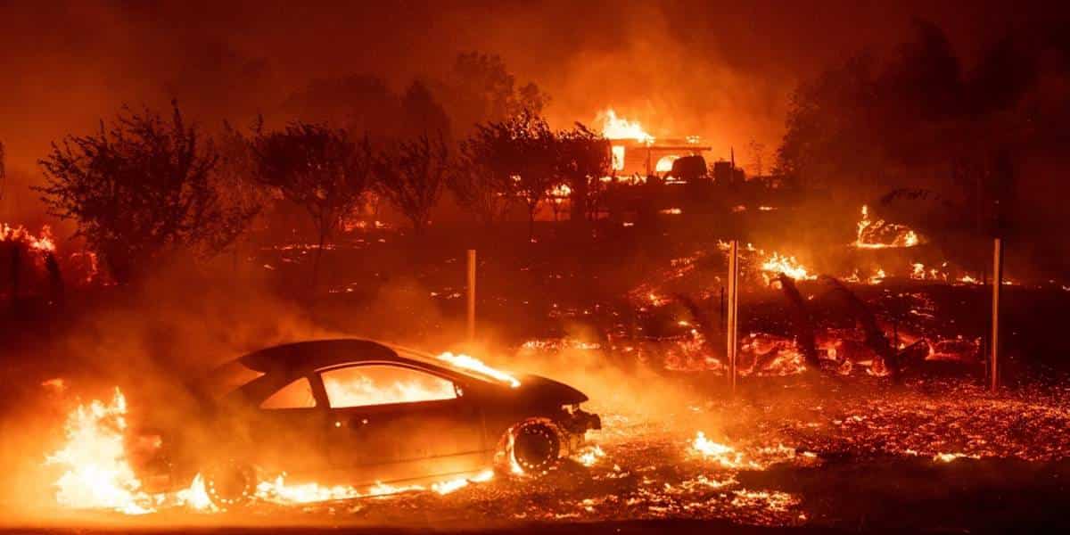 Wildfires have burned 1 million acres in California in just a week Wildfires have burned 1 million acres in California in just a week