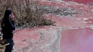 Industrial waste turns Patagonian lake completely pink in colour