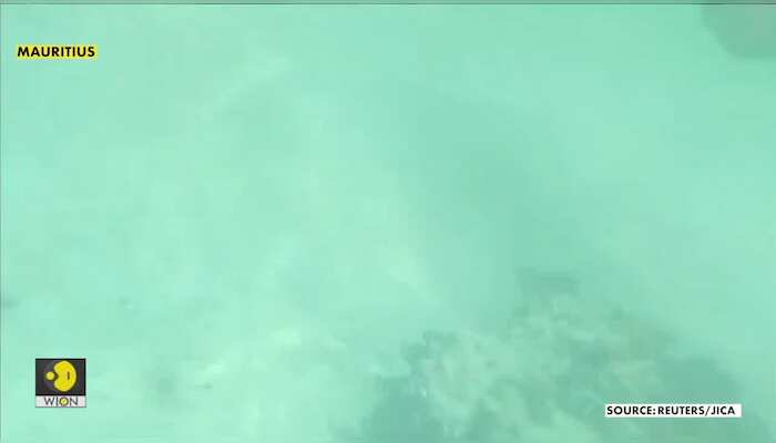 Japanese experts check Mauritius coral reef after oil spill