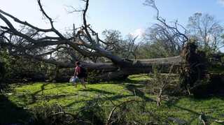 Hurricane Laura slams Louisiana, kills 14, but less damage than forecast