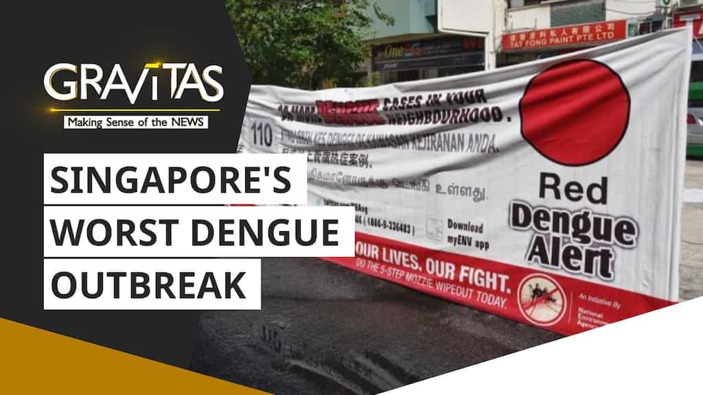 Gravitas: Singapore's Secret Agent Mosquitoes