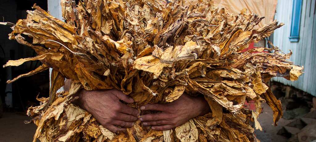 Due to risk of cross-border contagion, Bhutan temporarily banned sale of tobacco
