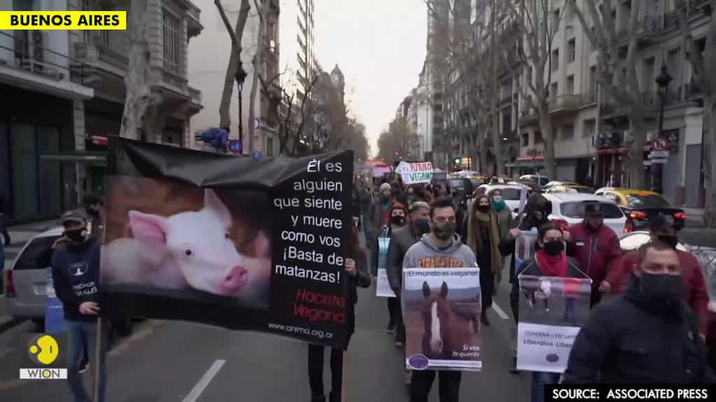 Argentines march against China's pork farms
