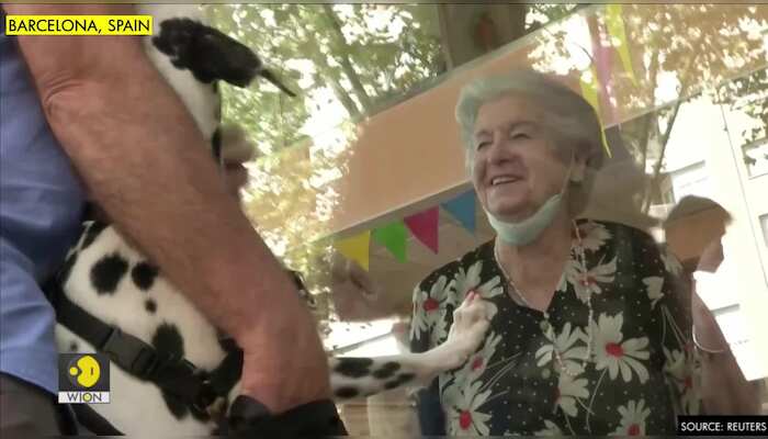 Love and care through a nursing home's glass window in times of COVID