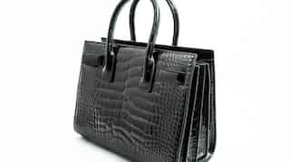 Customs to destroy alligator skin bag worth $19,000 over $51 missing permit