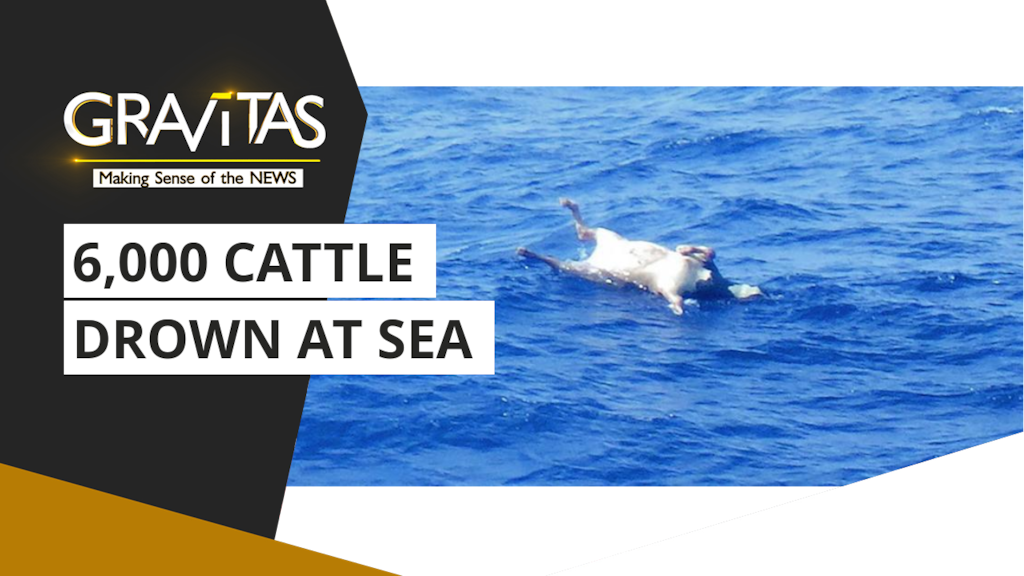 Gravitas: Cattle Ship Capsizes Off Japan Coast