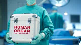 Organ transplants can lead to profound personality changes, suggests study