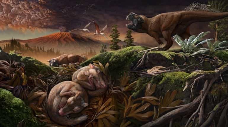 Humans behind 96% mammal extinctions over 126,000 years: Study