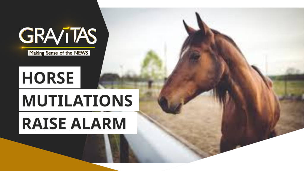Gravitas: Mysterious horse killings in France