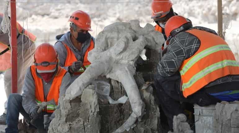 Mammoth graveyard unearthed at Mexico's new airport Mammoth graveyard unearthed at Mexico's new airport